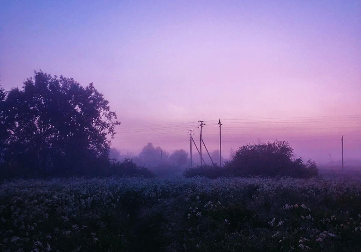 900%暴涨！从80万欧涨至800万，阿莱恩成曼城防线的意外收获